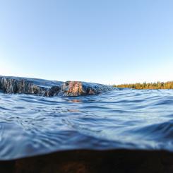Foto: Niklas Jonasson/Unsplash