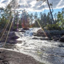 Foto: Niklas Jonasson/Unsplash