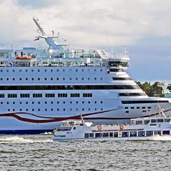 Ny rapport föreslår styrmedel för minskat undervattensbuller. Foto: ivl