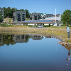 Nya dagvattendammar och diken ska minska föroreningarna Salwan vid dammen Kryddv. Foto: Lo Birgersson