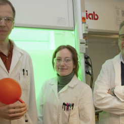 Jesper Schwarz, Aleksandra Ilic och Kenneth Wärnmark visar upp sitt röda järnkomplex inuti en vätgasballong framför en ljusreaktor. På bilden saknas Reiner Lomoth och Catherine Johnson från Uppsala universitet. Foto: Johan Joelsson