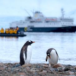 Regeringen tar nästa steg med konkreta åtgärder för att kunna ge svenska polarforskare tillgång till ett modernt klimatneutralt polarforskningsfartyg med förmåga att bedriva verksamhet och forskningsexpeditioner i Högarktis och runt Antarktis. Foto: derek oyen/unsplash