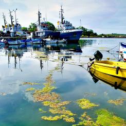 Förbudet riktar sig mot sådana tvättvatten från svavelskrubbrar som inte möter de fastställda kriterierna för skadliga ämnen enligt Internationella sjöfartsorganisationens (IMO) rekommendationer.  Foto: Creative Commons Lic. Pixabay, Kredit: Memory Catcher