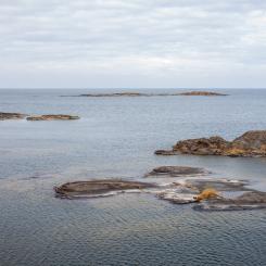 Kållandsö, Lidköping. Foto: axel josefsson/unsplash