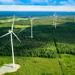 - Vindkraften driver den gröna omställningen på ett sätt som skapar genuin och långsiktig vitalitet i kommunerna, särskilt genom arbetstillfällen och skatteintäkter, betonar Renewables Finland. Foto: Nbixer