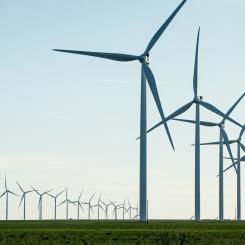 Vestas vindpark i amerikanska South Plains. Foto: Vestas